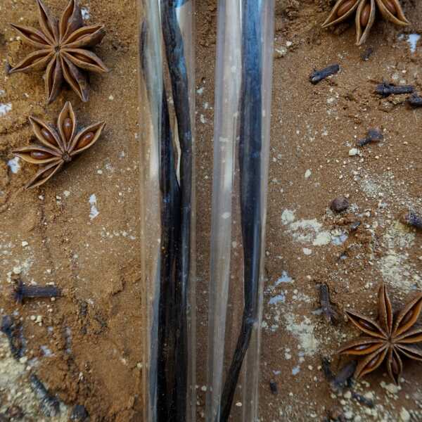 Vanillestangen in dunkelbrauner bis schwarzer Farbe, im Glasröhrchen
