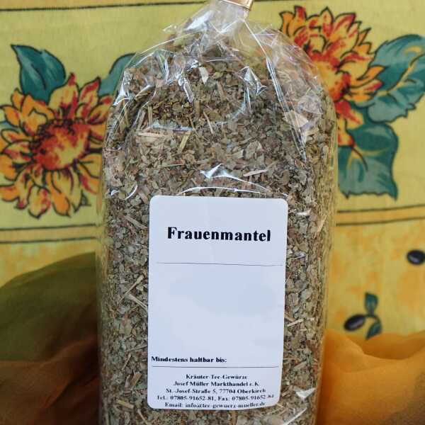 Getrocknetes Frauenmantelkraut in grüner Farbe