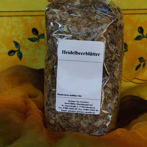 Getrocknete Heidelbeerblätter in grüner Farbe