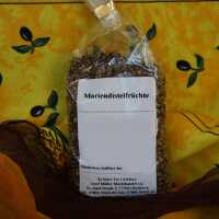 Getrocknete Mariendistelfrüchte in dunkelbrauner Farbe