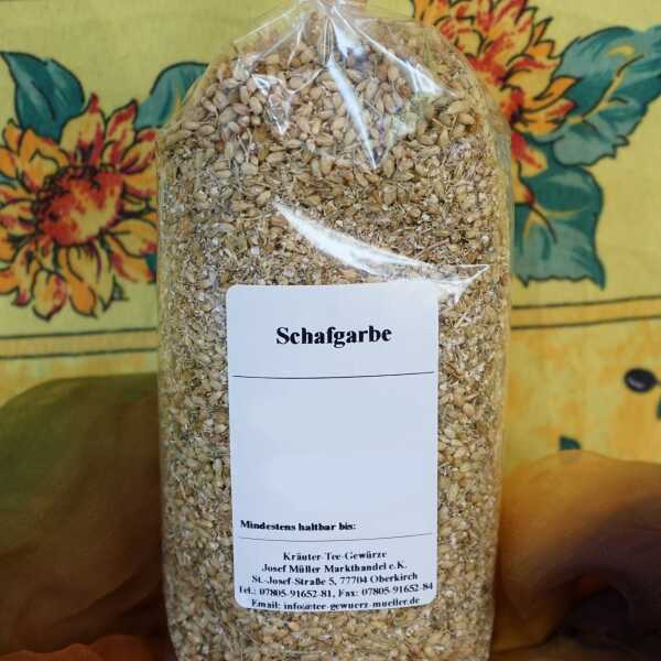 Getrocknete Schafgarbe in grüner Farbe