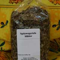 Getrocknete Spitzwegerichblätter in grüner Farbe