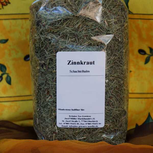 Getrocknetes Zinnkraut mit grünen, segmentierten Stängeln