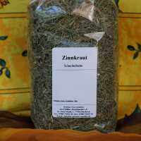 Getrocknetes Zinnkraut mit grünen, segmentierten...